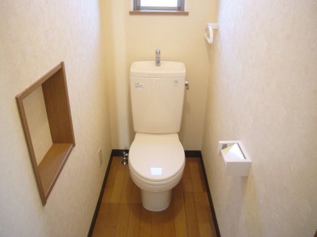 Toilet. It is convenient to come with storage is in the toilet