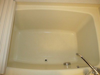 Bath. Clean bathtub