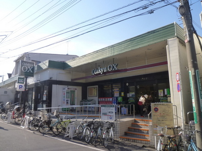 Supermarket. 250m to Odakyu OX (super)