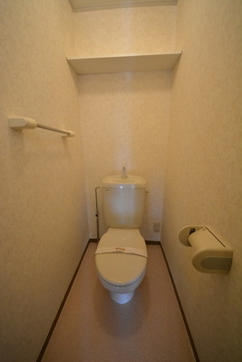 Toilet. Toilet