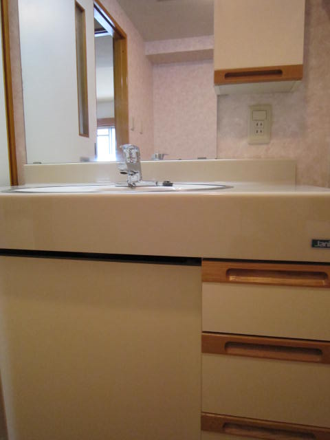 Washroom. Bathroom vanity