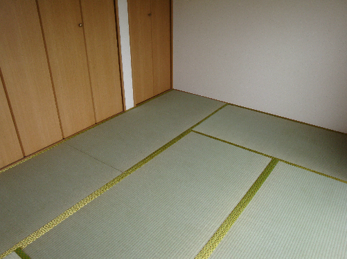 Other room space. Japanese style room