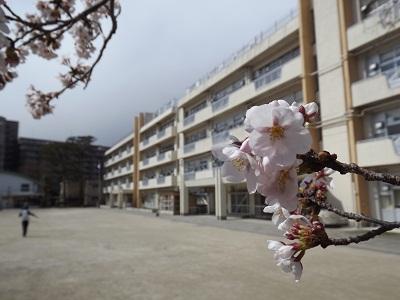 Primary school. Chofu Municipal Uenohara to elementary school 876m