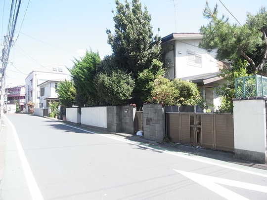 Local land photo