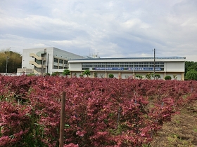 Junior high school. 1440m to Mitaka City Tatsudai seven junior high school (junior high school)