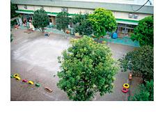 kindergarten ・ Nursery. Dongtai 925m to nursery school