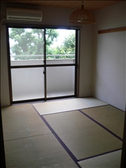 Other room space. Japanese style room