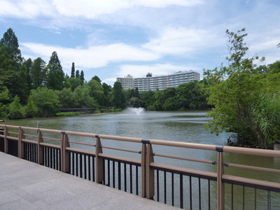 park. 340m to Inokashira Park (park)