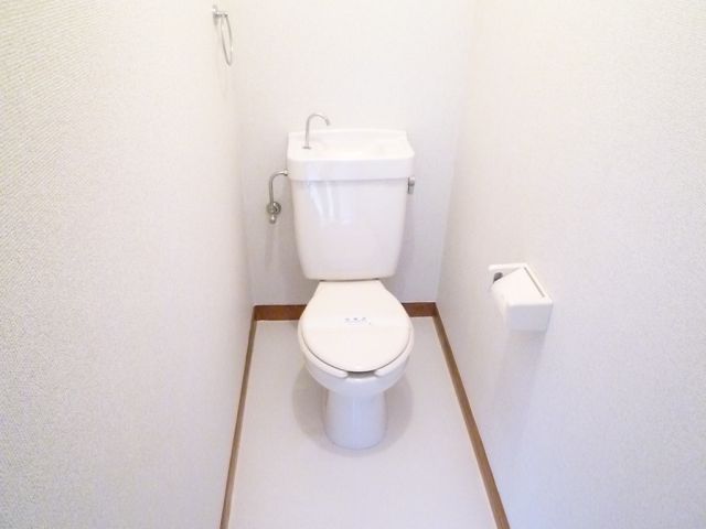 Toilet. Toilet