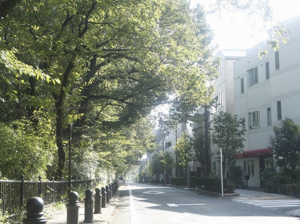 Tamagawa beautiful tree-lined streets is followed along the "promenade of the Wind" (about 650m / A 9-minute walk)