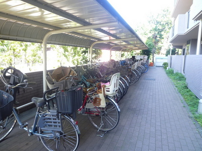 Parking lot. Bicycle-parking space