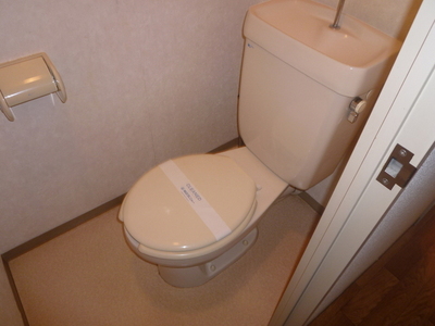 Toilet. Toilet with cleanliness