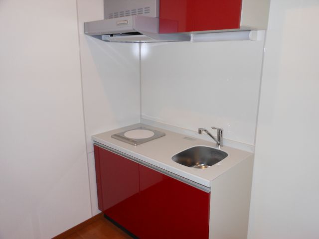 Kitchen. Red is cute IH heater kitchen