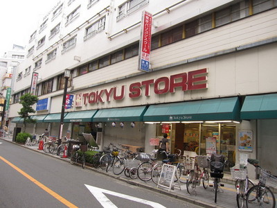 Supermarket. 250m to Tokyu Store (Super)