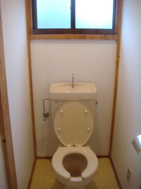 Toilet. It comes with a window.