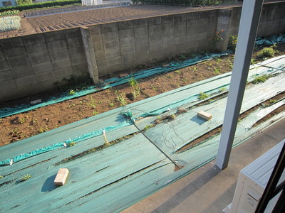 Balcony. Private garden