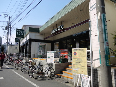 Supermarket. 280m to Odakyu OX (super)