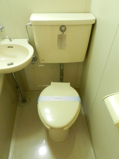 Toilet. Toilet