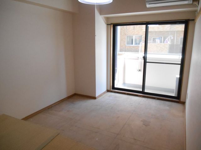 Living and room. Tatami enters new