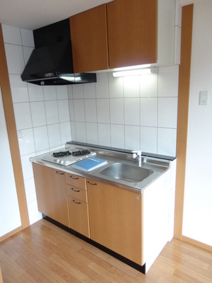 Kitchen. System kitchen