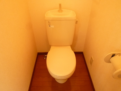 Toilet. Your toilet