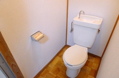 Living and room. Toilet