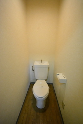 Toilet. Toilet