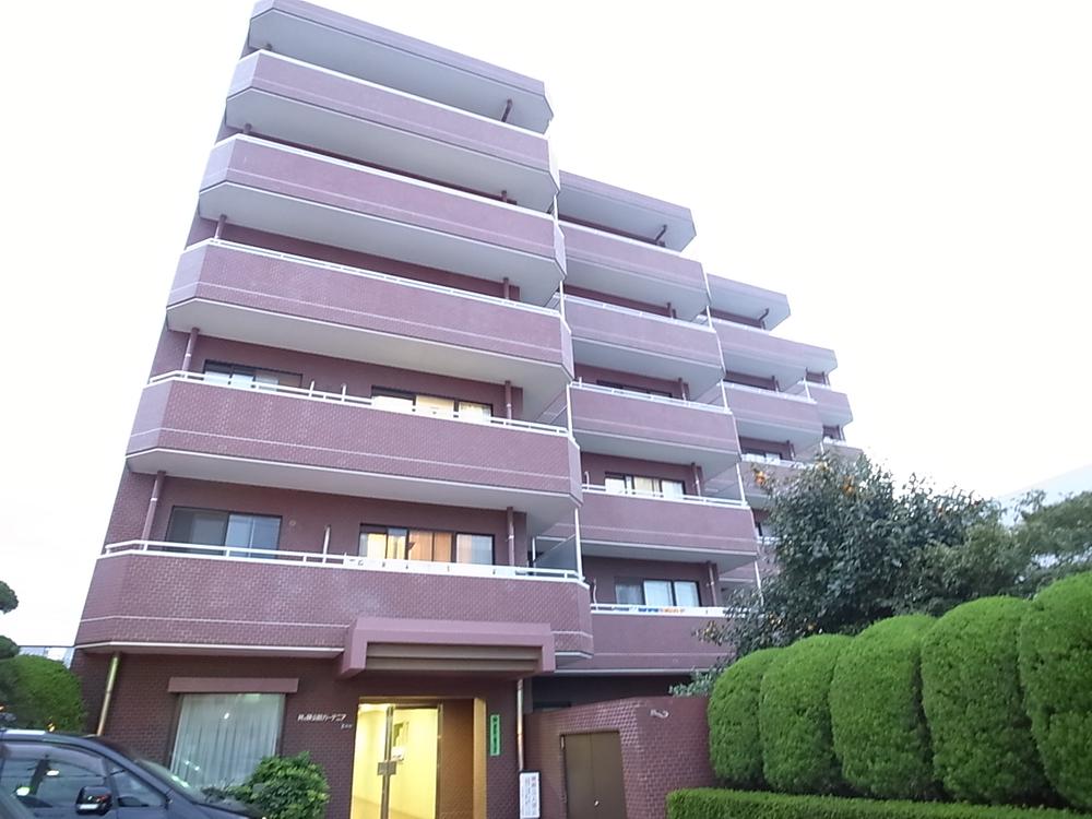 Local appearance photo. Local (10 May 2013) Shooting