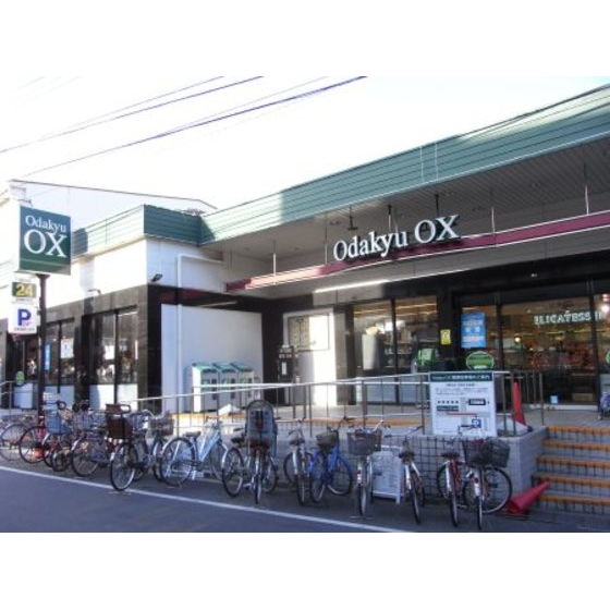 Supermarket. OdakyuOX Mitakadai to the store (supermarket) 110m