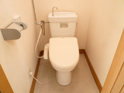 Toilet. Your toilet