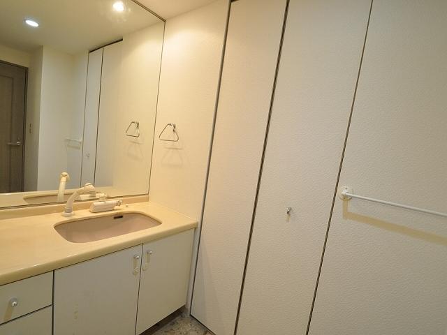Wash basin, toilet. Mitaka City House lavatory