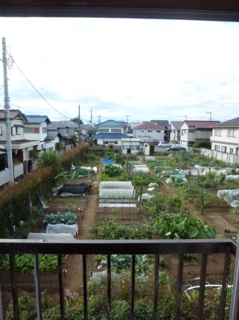 Balcony. The view from the room