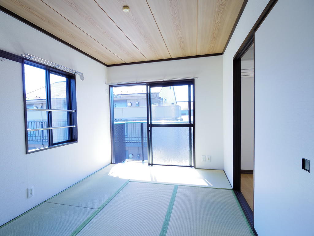 Living and room. Two-sided lighting Japanese-style room