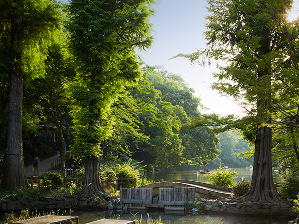 Surrounding environment. Inokashira Park (about 1210m / 16-minute walk)