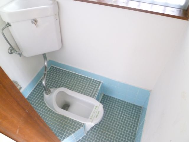 Toilet. Retro squat toilet ☆