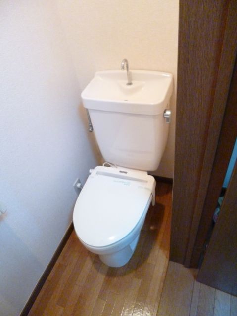 Toilet. Clean toilet