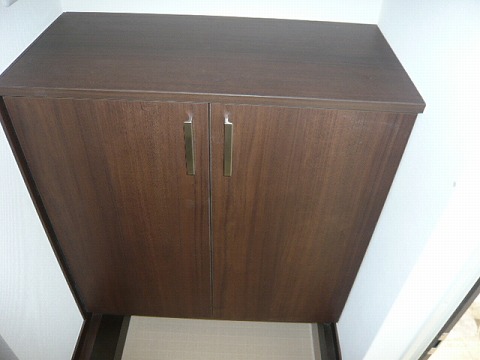 Other. There cupboard! There is also a top storage!