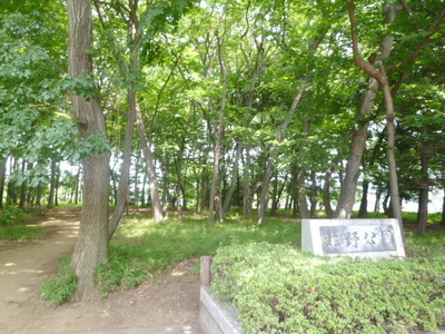 park. Kitano 350m to the park (park)