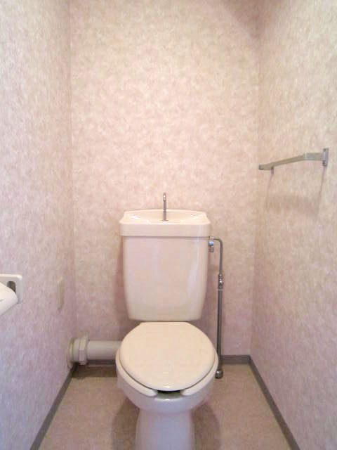 Toilet. With storage shelves