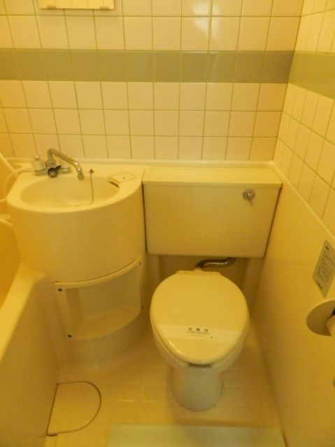 Toilet. Toilet