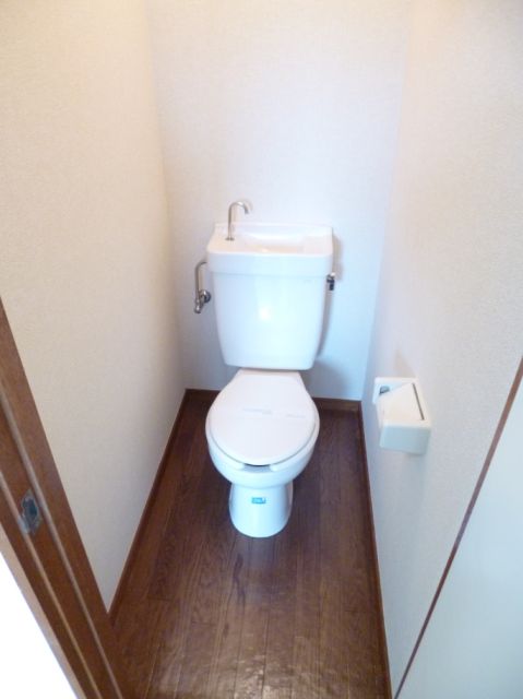 Toilet. Clean toilet