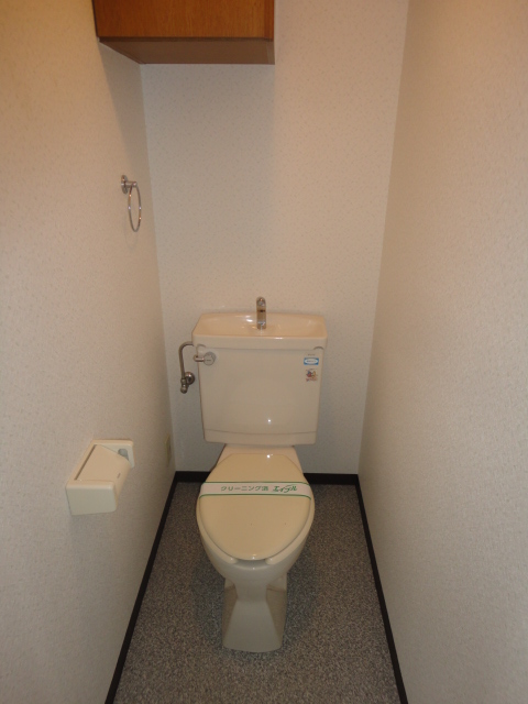 Toilet. Accessories with storage