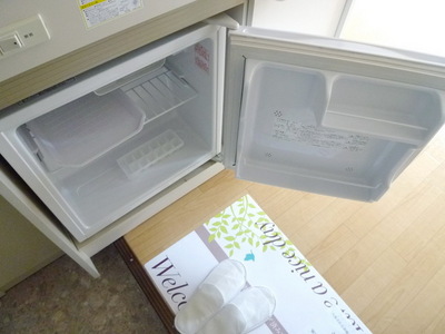 Other. Mini fridge