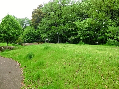 park. Maruike 803m wooded area to the park (park)