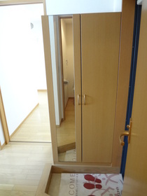 Entrance. Shoe box door is equipped with a mirror