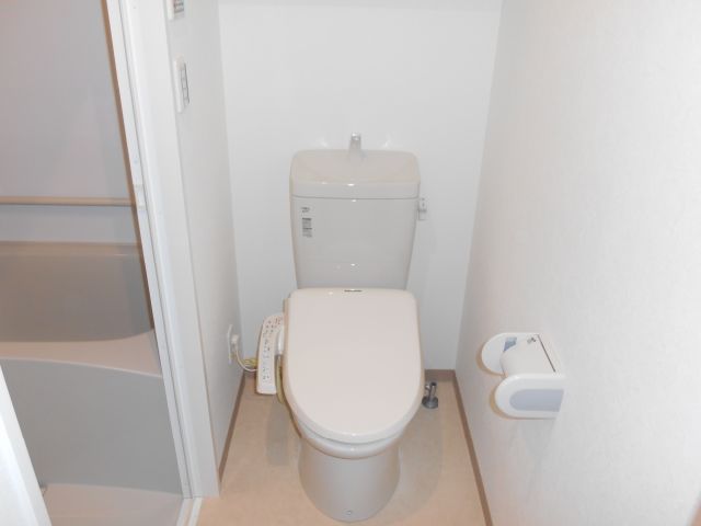 Toilet. Toilet, of course Washlet