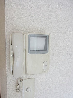 Security. TV monitor with intercom