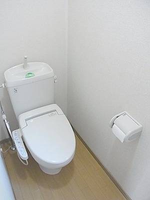 Toilet. Bidet function toilet