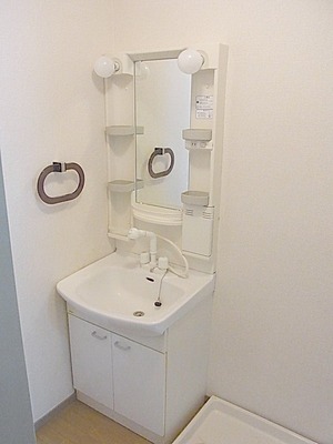 Washroom. Shampoo dresser