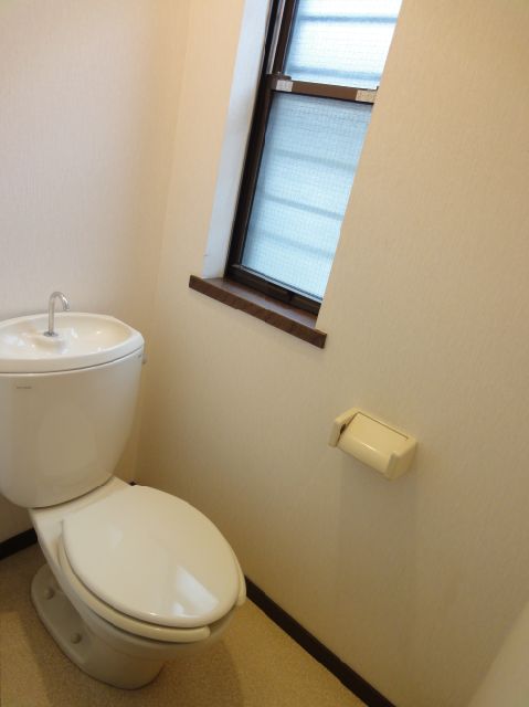 Toilet. Window with bright toilet